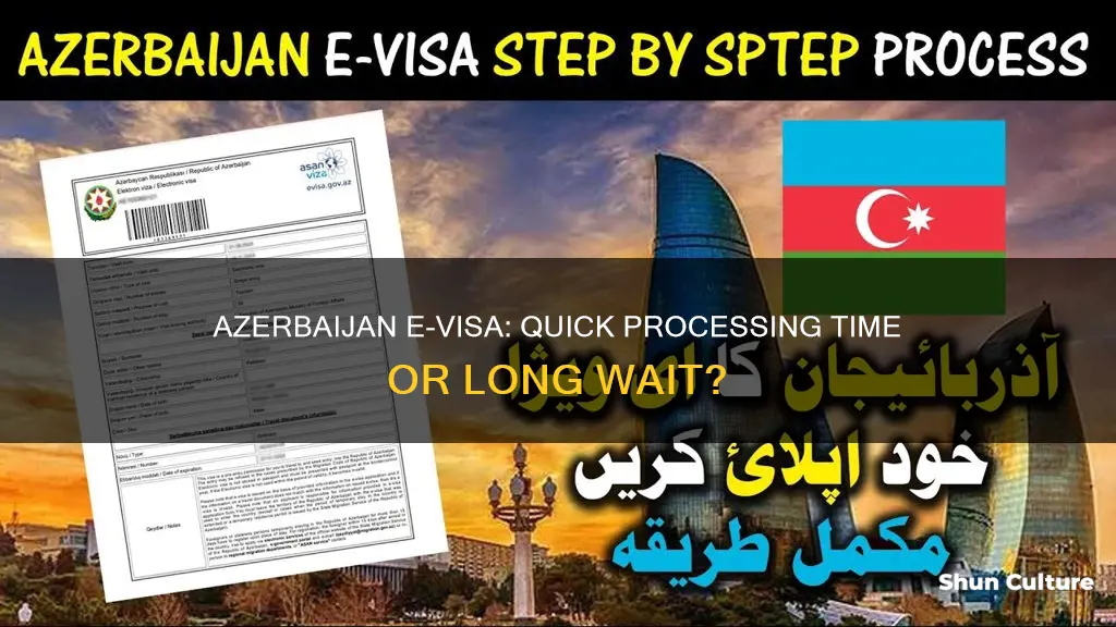 how long does azerbaijan e visa take