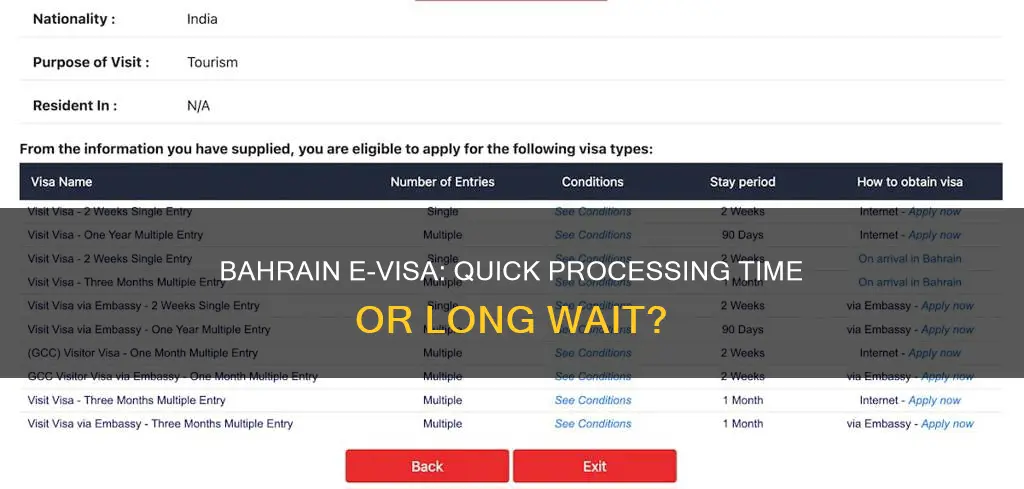 how long does bahrain e visa take