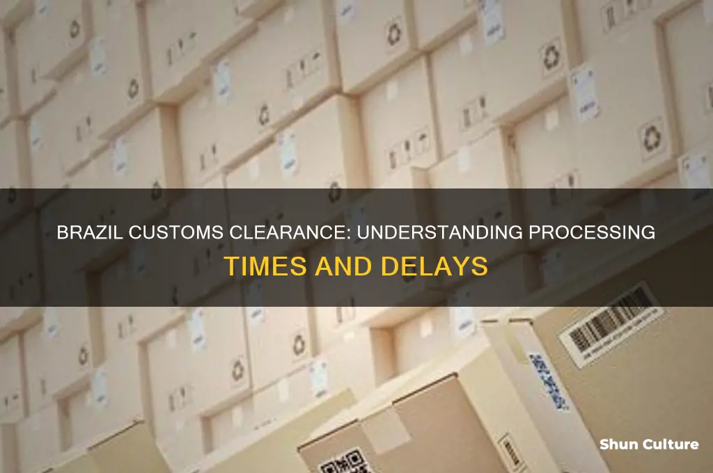 how long does brazil customs clearance take