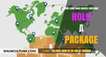Brazil Customs Package Hold Time: What to Expect and Why