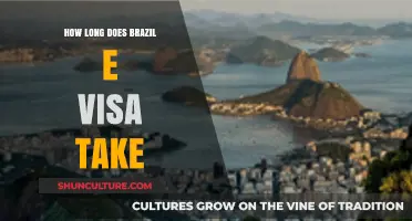 Brazil E-Visa Processing Time: What to Expect and How to Apply
