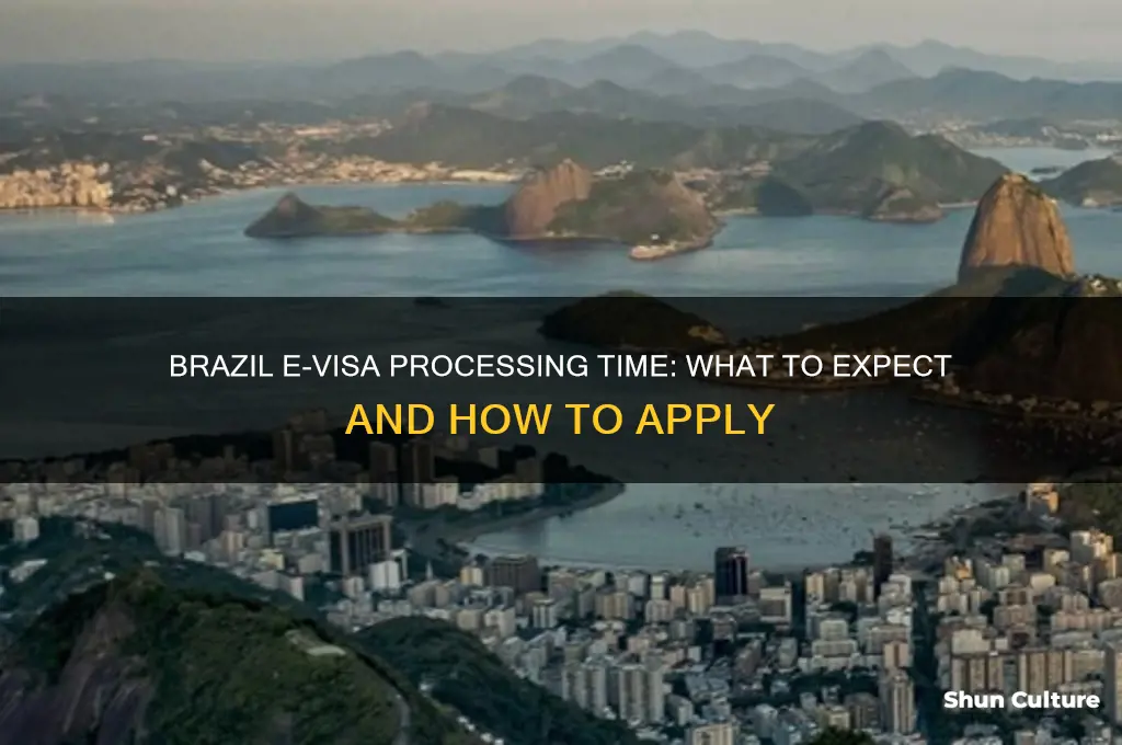 how long does brazil e visa take