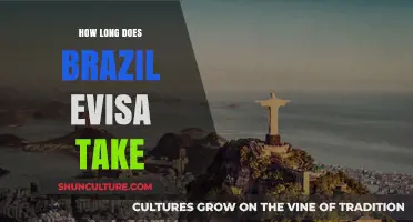Brazil eVisa Processing Time: What to Expect for Your Travel