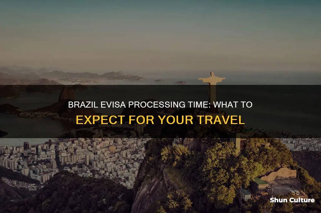 how long does brazil evisa take