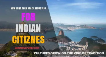 Brazil Visa Duration for Indian Citizens: Processing Time Explained