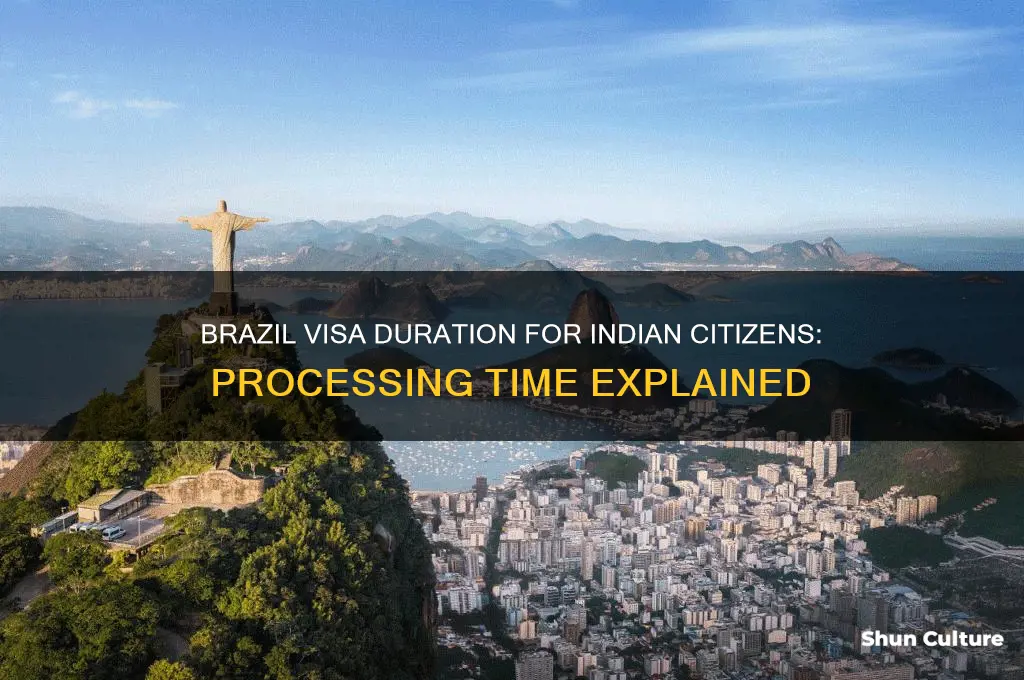 how long does brazil issue visa for indian citiznes