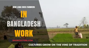 Bangladesh Farmers' Work Hours: Understanding Daily Labor in Agriculture