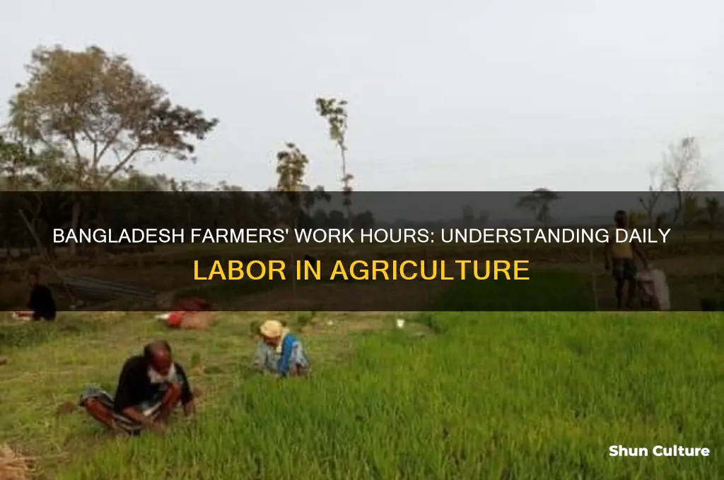 how long does farmers in bangladesh work