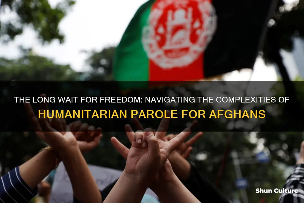 how long does humanitarian parole take for afghanistan