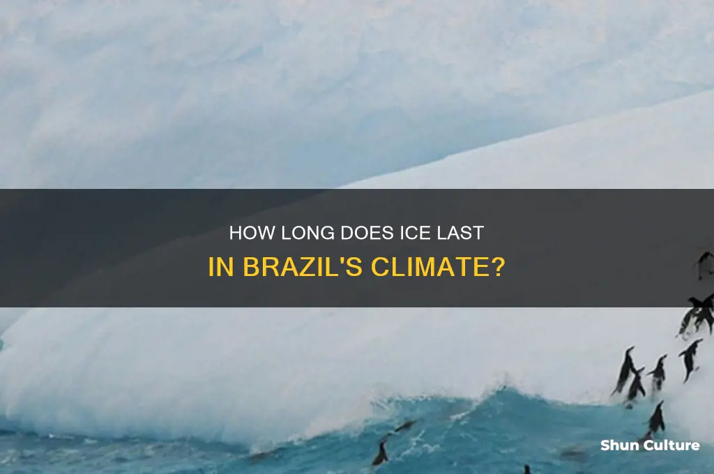 how long does ice last in brazil