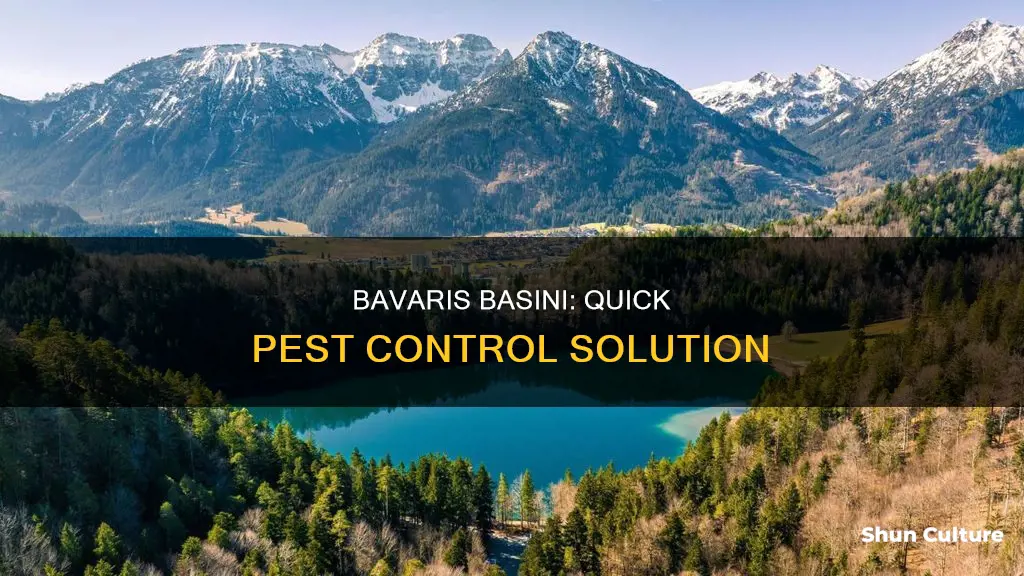 how long does it take bavaris basini to kill pest