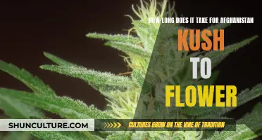 The Flowering Dance of Afghanistan Kush