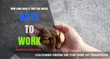 Brazil Nuts Benefits: How Long Until You Feel the Effects?