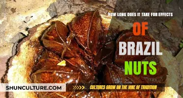 Brazil Nuts Benefits: Timing and Impact on Your Health Explained