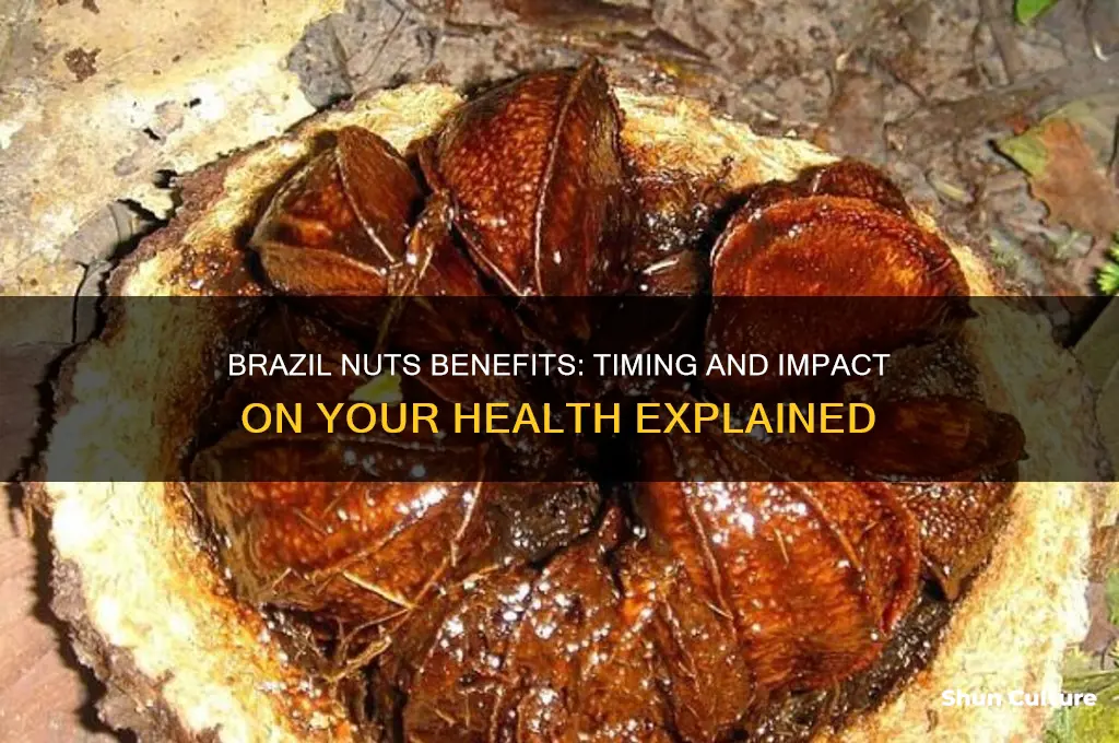 how long does it take for effects of brazil nuts