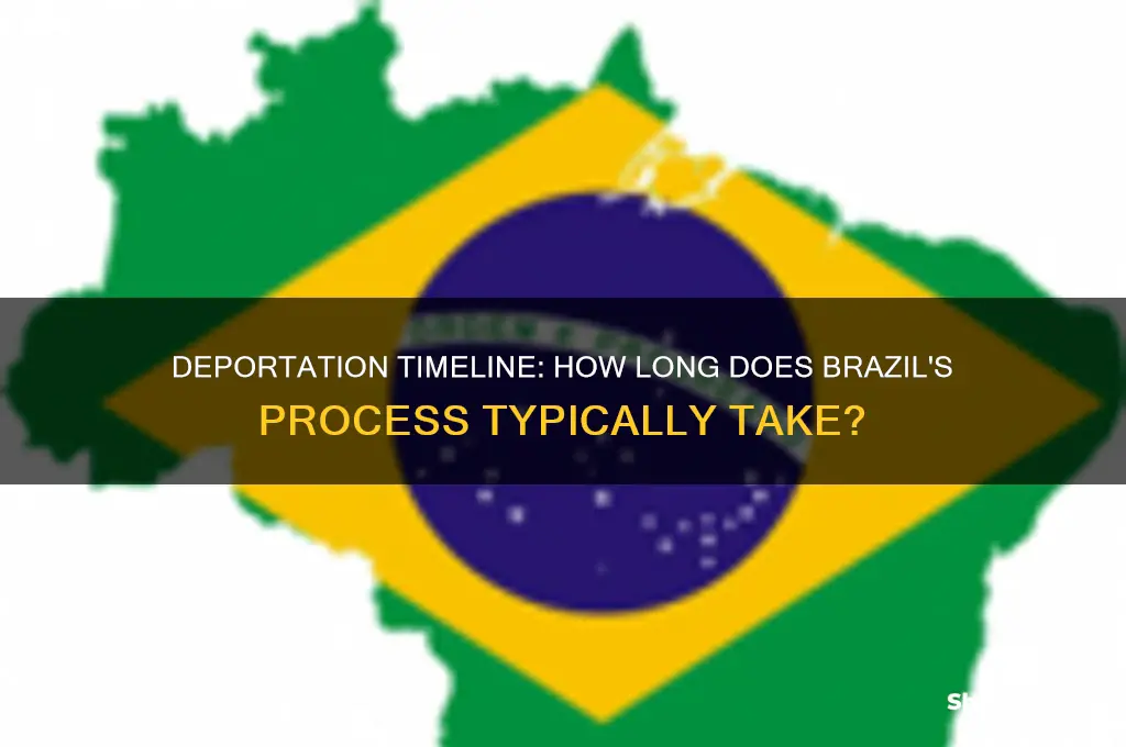 how long does it take to deport a brazilan