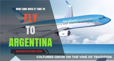 Exploring the Skies: Your Guide to Flight Times to Argentina