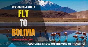 Bolivia by Air: How Long Does the Journey Take?