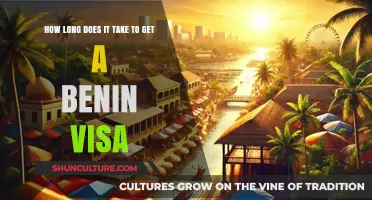 Navigating the Benin Visa Process: A Comprehensive Timeline Guide