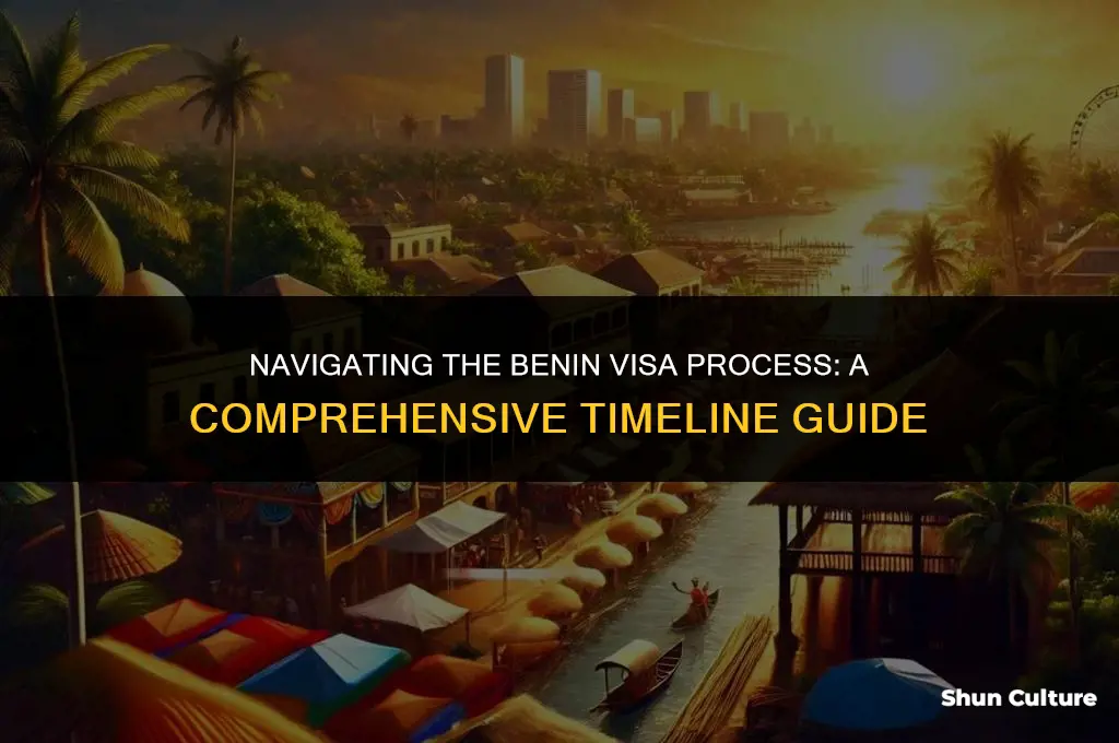how long does it take to get a benin visa