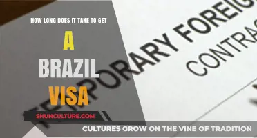 Brazil Visa Processing Time: What to Expect for Your Application