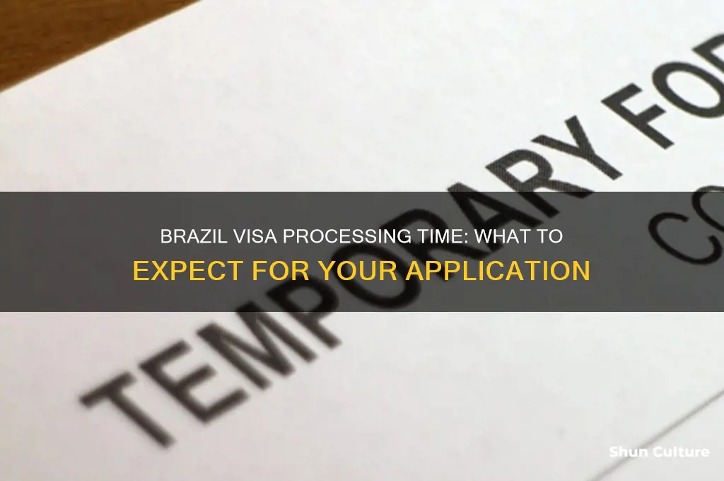 how long does it take to get a brazil visa