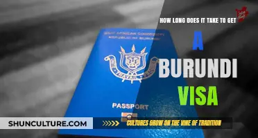 Navigating the Burundi Visa Process: A Comprehensive Timeline Guide