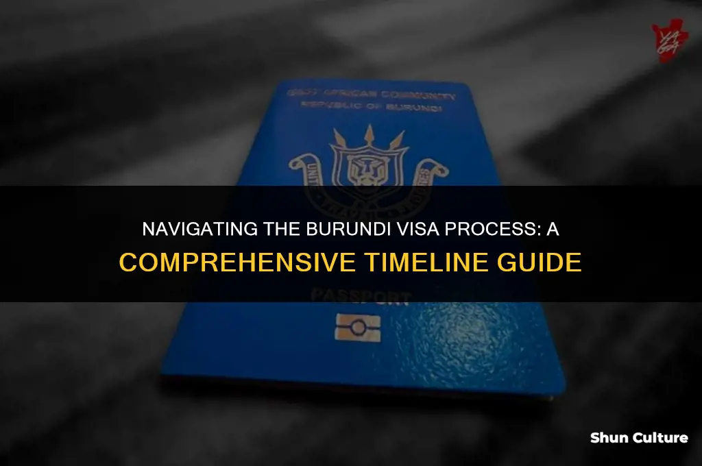how long does it take to get a burundi visa