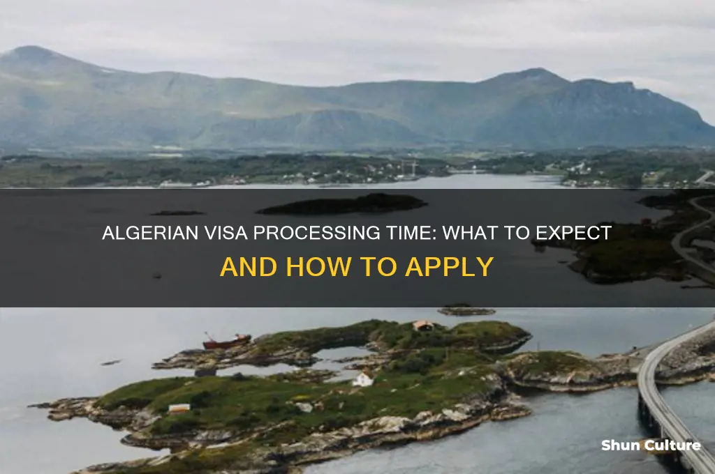 how long does it take to get algerian visa