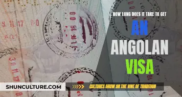 Visa Processing Time: Angola's Visa Requirements