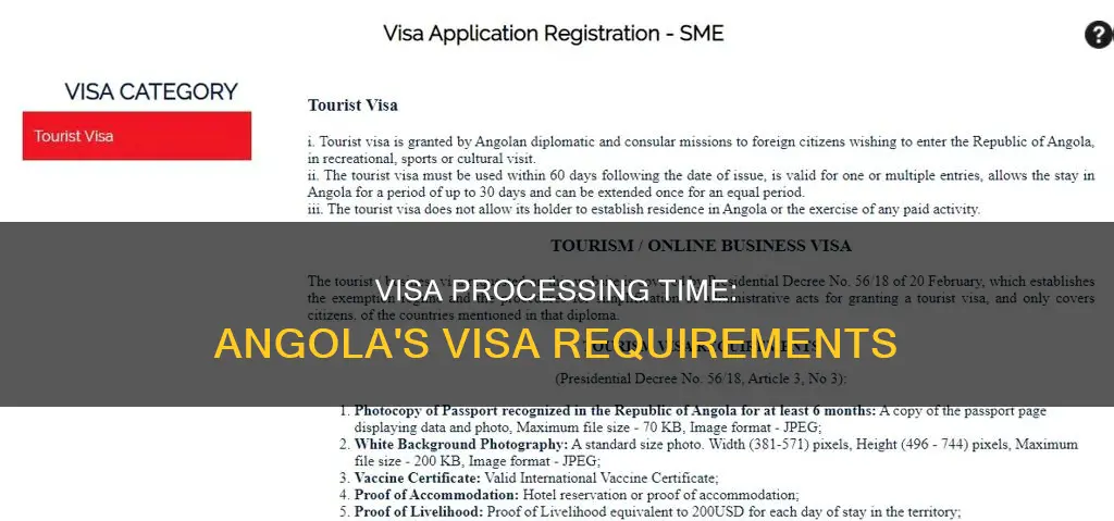 how long does it take to get an angolan visa