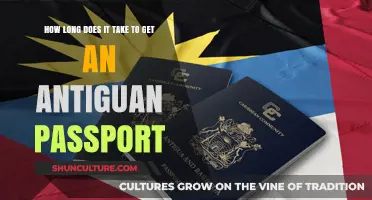 Antiguan Passport Processing Time: What to Expect for Citizenship