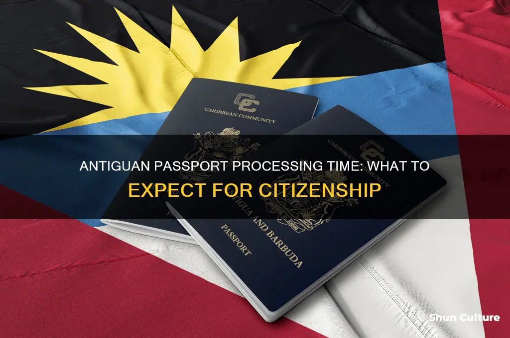 how long does it take to get an antiguan passport