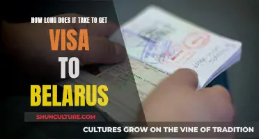 Visa Processing Time for Belarus: How Long?