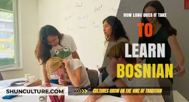 Mastering Bosnian: Timeframe and Tips for Language Learners