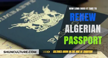 Renewing Your Algerian Passport: Understanding the Processing Timeframe