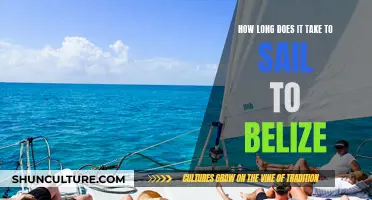 Sailing to Belize: A Tropical Odyssey