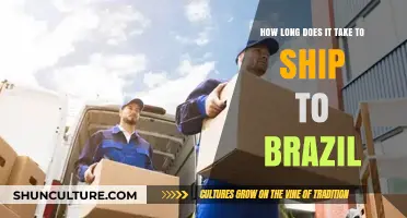 Shipping to Brazil: Understanding Delivery Times and Factors