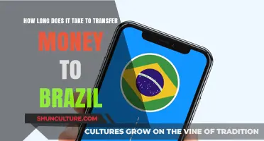 Money Transfer to Brazil: Understanding Processing Times and Factors