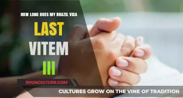 Understanding VITEM III: Duration of Your Brazil Visa Explained