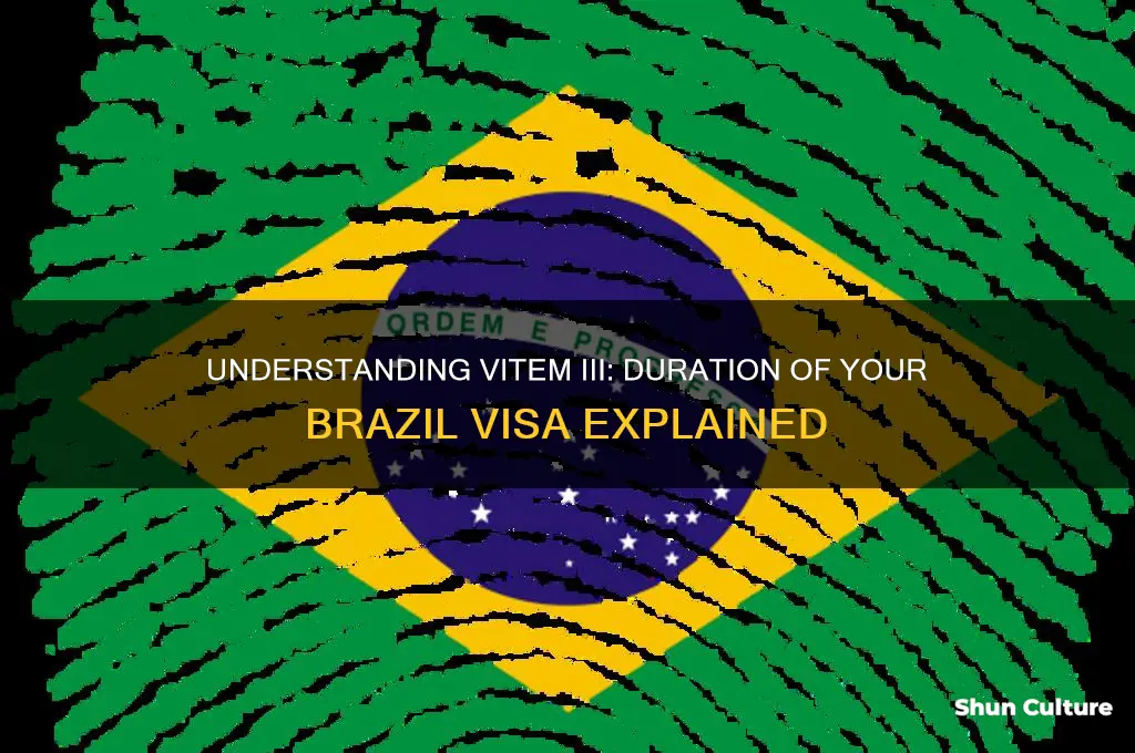 how long does my brazil visa last vitem iii