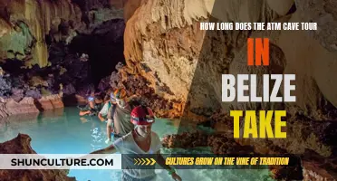 Exploring the ATM Cave Tour in Belize: A Journey Through Time and Nature