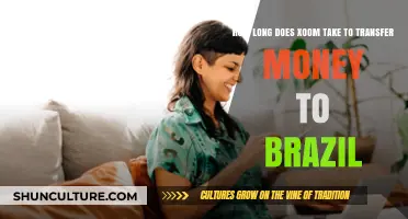 Xoom Money Transfer to Brazil: Understanding Processing Times and Speed