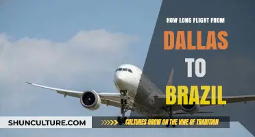 Dallas to Brazil Flight Duration: What to Expect in the Air