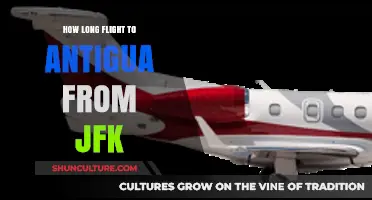 JFK to Antigua Flight Duration: Your Quick Travel Time Guide