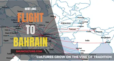 A Long-Haul Flight to Bahrain: How Long Does It Take?