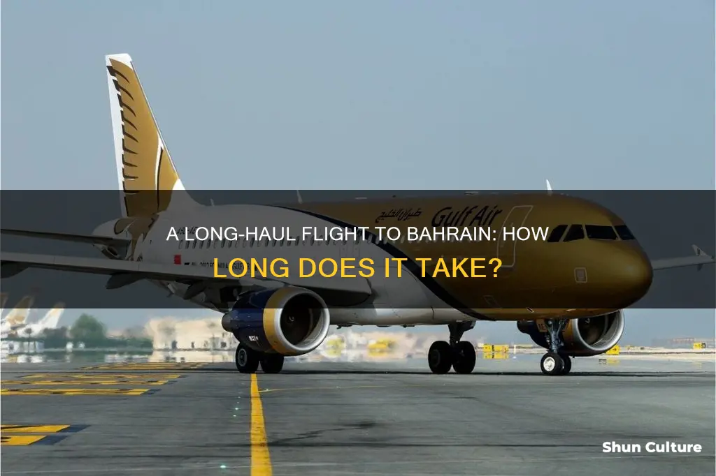 how long flight to bahrain