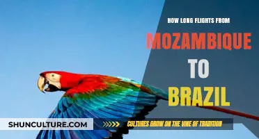 Mozambique to Brazil Flights: Duration, Tips, and Travel Insights