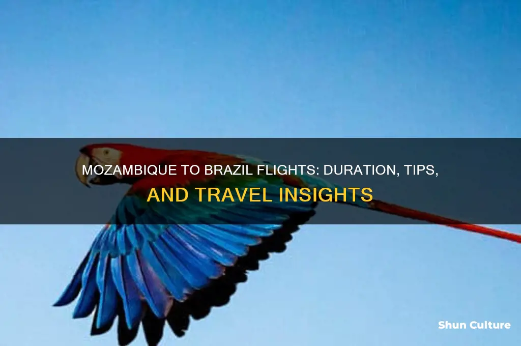 how long flights from mozambique to brazil