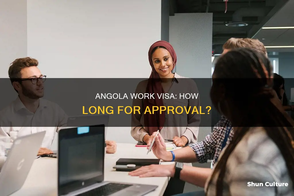 how long for a angola work visa 6 months